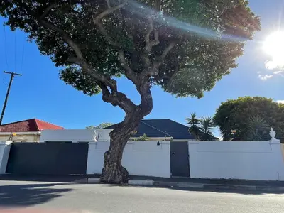 a tree in front of a white fence at AAA Luxury Homes Goodwood Cpt in Elsiesrivier