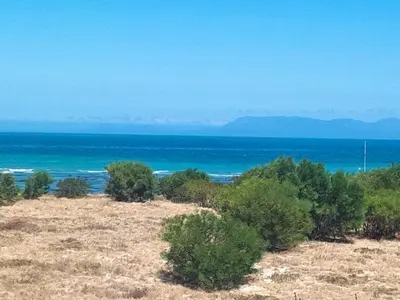 a beach with trees and the ocean in the background at Windy Corner Luxury Apartment in Gordonʼs Bay