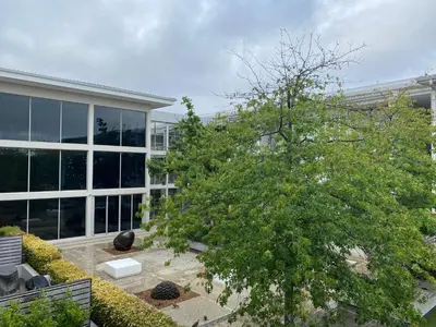 a building with a tree in front of a building at Instellies Self Catering Apartment in Stellenbosch