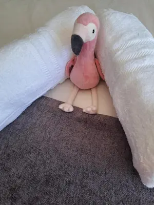 a stuffed bird is peeking out from under a pillow at The Pink Flamingo Self Catering Accommodation in Cape Town