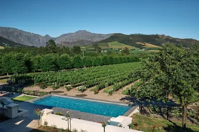a swimming pool in front of a vineyard with a swimming pool at The Manor House at Colmant in Franschhoek