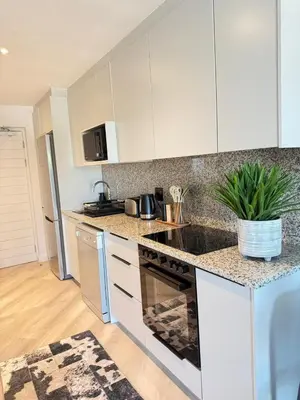 a kitchen with white cabinets and a potted plant at Platform 123 - 2 On Tabak with onsite Parking in Paarl