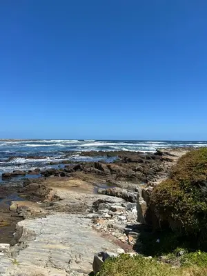a rocky beach with the ocean in the background at Logans place in Hermanus