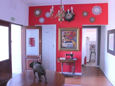 a dog standing on top of a table in a room at The Boston Guest House in Bellville