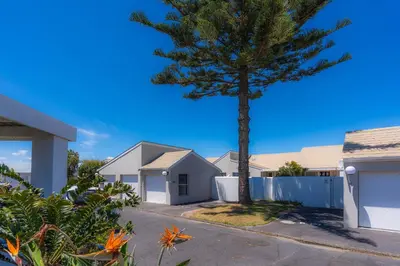 a tree in the driveway of a house at The Woodbridge Hideaway in Cape Town