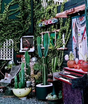 a group of cactuses in pots next to a wall at Anna's Studio in Strand