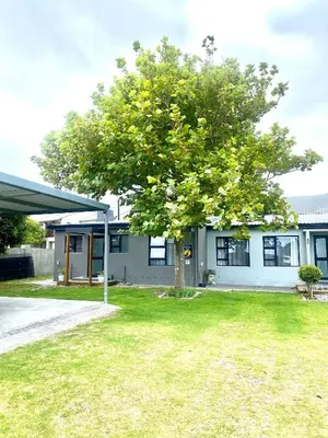 a tree in the yard of a house at Living Lite in Kleinmond