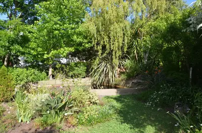 a garden with a walkway with trees and plants at TheBlueDoor in Greyton
