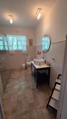 a bathroom with a sink and a toilet and a mirror at TheBlueDoor in Greyton
