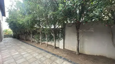 a row of trees are lined up against a wall at Chasing Sunsets sea and mountain views in Hermanus