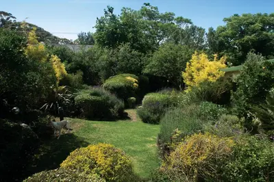 a garden with a sheep standing in the grass at Villa Pascal Guest House in Durbanville