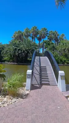 a bridge over a body of water with palm trees at De Groove Luxury Homes in Cape Town