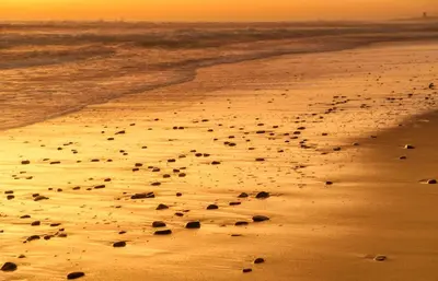 a beach with a bunch of rocks in the sand at Atlantic Palms in Cape Town