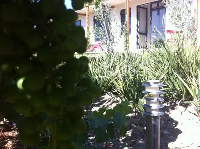 a garden in front of a house with plants at Domaine Coutelier in Stellenbosch