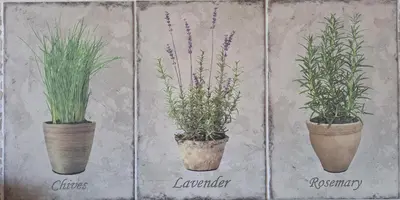 a drawing of three plants in pots on a wall at Domaine Coutelier in Stellenbosch