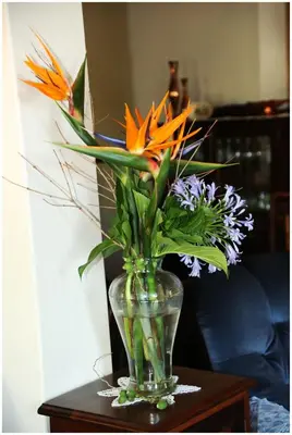 a vase filled with flowers on a table at Rawsonville House in Rawsonville