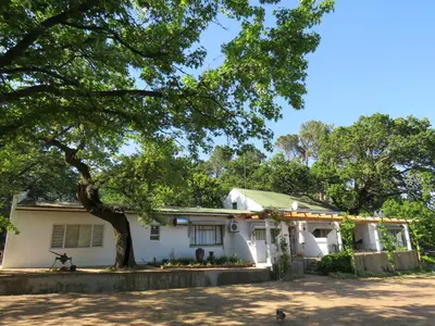 a house with a tree in front of it at Modderkloof Farm Accommodation in Paarl
