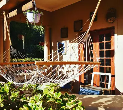 a hammock in a room with plants at Frieden-Hof Guest Accommodation in Penhill
