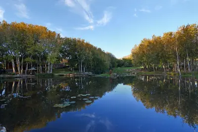 a river with trees and reflections in the water at Marshden Estate in Stellenbosch