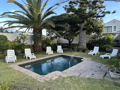 a swimming pool with chairs and a palm tree at House on Westcliff in Hermanus