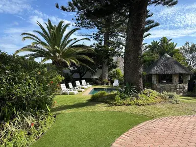 a backyard with a pool and chairs and a tree at House on Westcliff in Hermanus