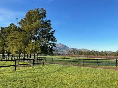 a fence in a field with trees and mountains in the background at Bona Vista Self-Catering Accommodation in Klapmuts
