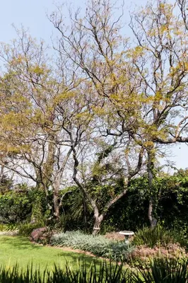 a park with trees and a bench in the grass at Bona Vista Self-Catering Accommodation in Klapmuts