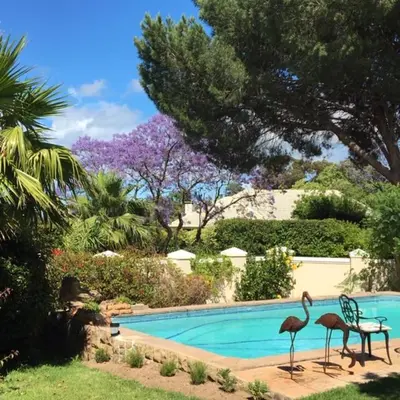 two birds standing next to a swimming pool at Golf and Garden Guesthouse in Somerset West