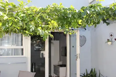 a green hedge over the door of a house at 25 on Fitzpatrick in Parow