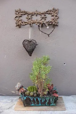 a plant in a planter with a heart on a wall at 25 on Fitzpatrick in Parow