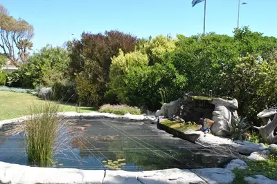 a pond in a garden with a water fountain at Cotswold House in Cape Town