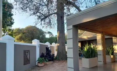 a white fence with potted plants and a tree at Milas Place in Somerset West
