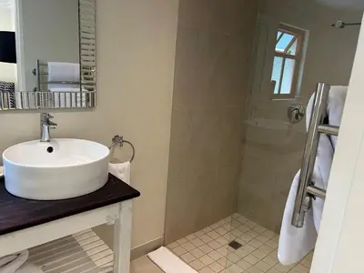 a bathroom with a sink and a shower at Residence Vive la Vie in Franschhoek