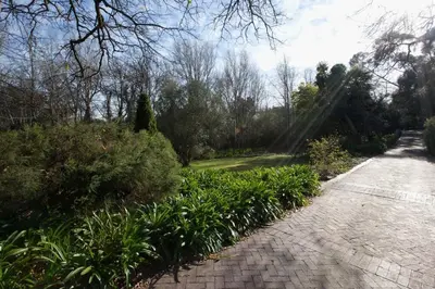 a brick path with plants and trees on the side at Viettz Suite in Stellenbosch