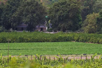 a field of green grass with a house in the background at Hartebeeskraal Selfcatering cottage in Paarl