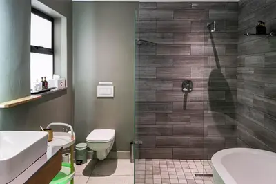 a bathroom with a shower and a toilet and a sink at Silver Forest Boutique Hotel and Spa in Somerset West