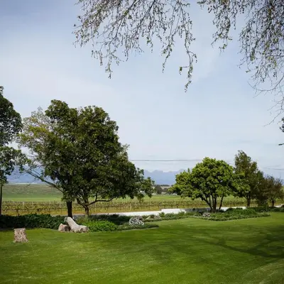 a park with green grass and trees and a road at Doran Vineyards in Paarl