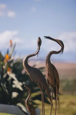 a group of birds standing next to each other at Doran Vineyards in Paarl