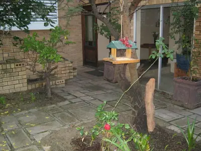 a house with a bird feeder and a plant at Shirleys Place in Brackenfell