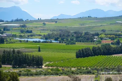 a view of a vineyard and a river in a field at Big Sky Cottages in Wolseley
