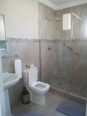 a bathroom with a shower and a toilet and a sink at Cinnamon House Bed & Breakfast in Cape Town