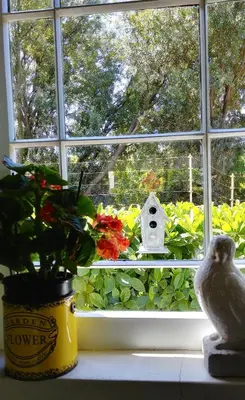 a window with a bird statue and flowers on a window sill at Kimi's Cottage in Simondium