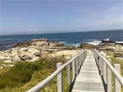 a wooden boardwalk leading to a beach with the ocean at Whale Rock 54 in Hermanus