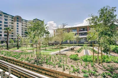 a garden in front of a building with trees at Superior Apartment Mayfair in Cape Town