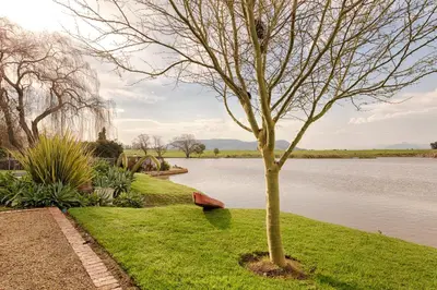 a tree in the grass next to a body of water at Waterside on Le Bonheur in Simondium