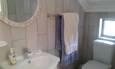 a bathroom with a sink and a toilet and a mirror at The Mayflower in Hermanus