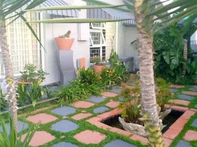 a garden with a palm tree and a patio at Mitchell's Guesthouse in Parow
