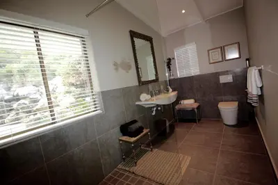 a bathroom with a sink and a toilet and a mirror at Proteus Beach House in Rooiels