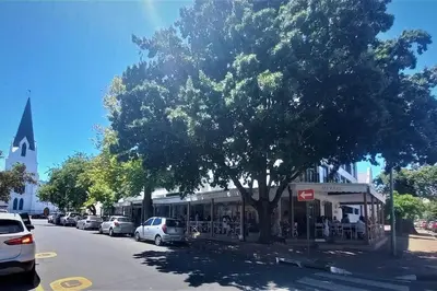 a tree on the side of a street next to a building at Concord Apartment in Stellenbosch