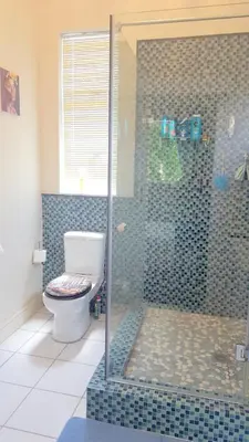 a bathroom with a toilet and a glass shower at 1AA Wilhelmina Luxury Suites in Franschhoek